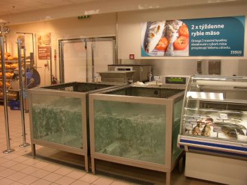 Lobster Aquarium Maintenance